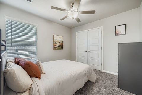 2909 Mill Run Bend, photo 19