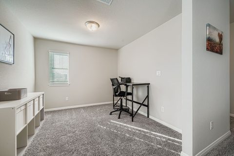 2909 Mill Run Bend, photo 15