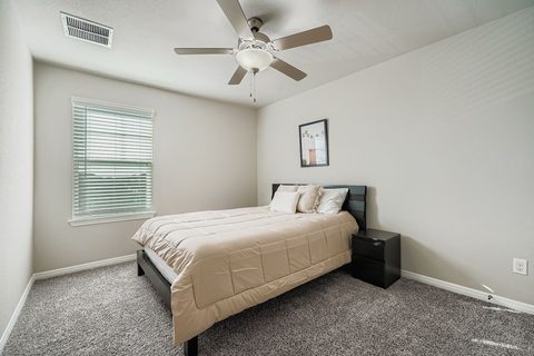 2909 Mill Run Bend, photo 18